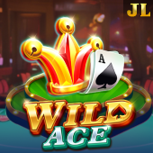 Wild Ace - scatter slots download